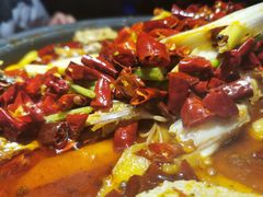 -馋火炉鱼(新世界百货望京店)
