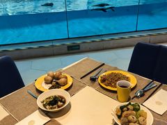 -帝企鹅自助餐厅•儿童岛•真企鹅(长隆企鹅酒店)