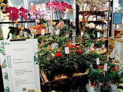 -豆豆花艺(新光天地店)