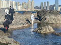 -黑石礁公园