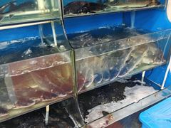 -滇香肴·云南菜蒸汽石锅鱼(云南北路店)