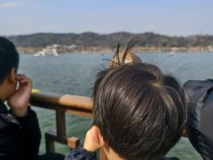 -西湖外事游船(湖滨二公园外事游船码头)