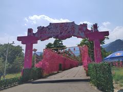 -北京凤凰岭