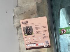 -武汉动物园