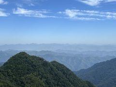 -栾川竹海野生动物园