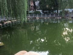 -莲湖公园