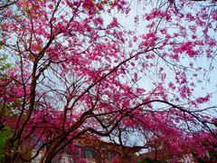 -复旦大学光华楼