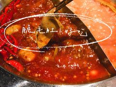 烫片毛肚-卤教授老火锅