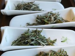 -汉艺唐风茶艺培训(联发华美空间店)