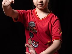 -温鉴良实用咏春拳