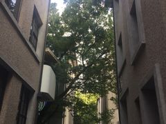 -徐家汇源景区-衡山坊