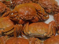 -童福兴·南京菜(老门东店)