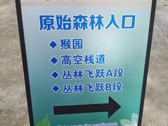 -西双版纳原始森林公园