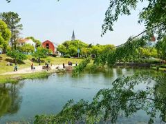 -曲阳花鸟市场(曲阳路店)
