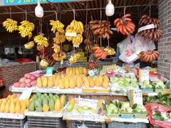 -南沙十九涌渔人码头-南门