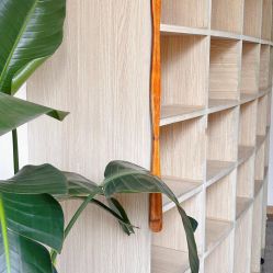 -酉嘉瑜伽YO+YOGA