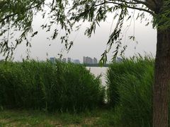 -水西公园