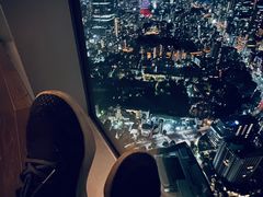 -六本木新城展望台(东京城市景观)