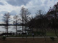 -松山湖风景区松湖烟雨