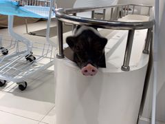 -怪兽屋·羊驼·猫咖·狗咖(俊华广场店)