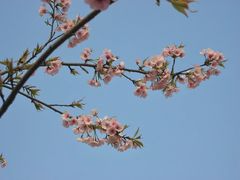 -白塘生态植物园
