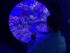 -烟台海昌鲸鲨海洋公园