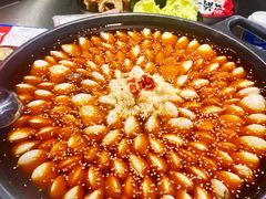 -水哥卜卜贝(东晓·胜汇里店)