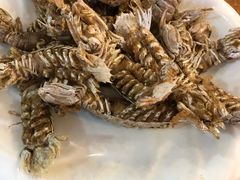-天天渔港海鲜酒家(石浦玉泉路店)