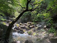 -红崖峡谷景区