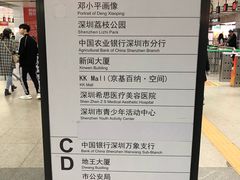 -大剧院(地铁站)