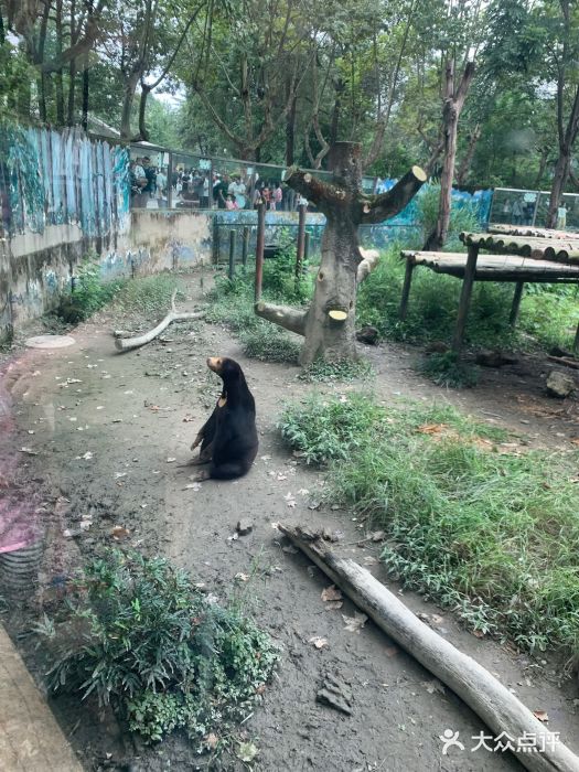 成都动物园图片