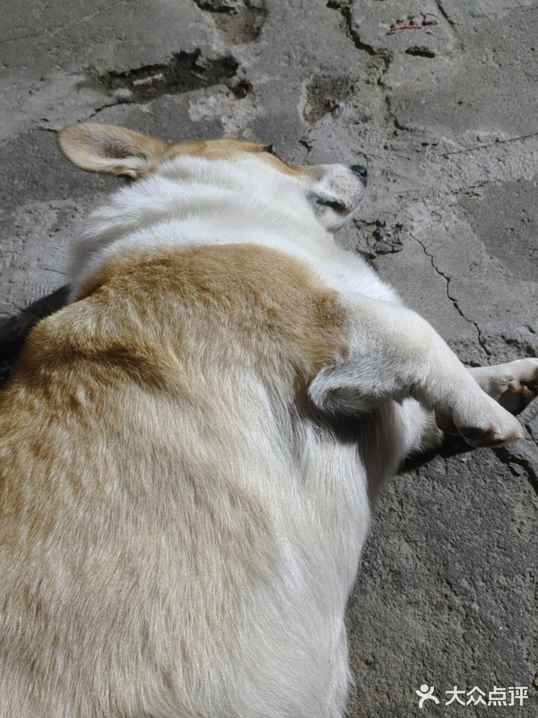 林大后街炒粉