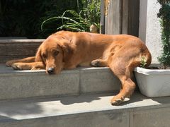 -兰纳泰式spa(古城店)