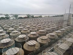 -厨邦酱油文化博览馆