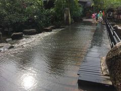 -呀诺达热带雨林