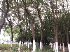 -无锡动物园·太湖欢乐园