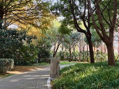 -尚贤河湿地