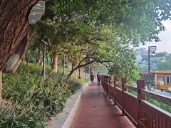 -南通濠河风景名胜区