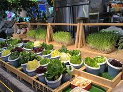 -一方渔歌蒸汽海鲜自助(文化路万达广场店)