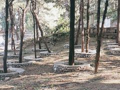 -北京鹫峰国家森林公园