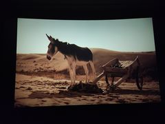 -新世界国际影城