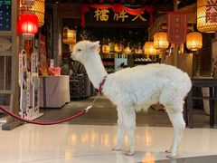 -南京大牌档(崇文门国瑞店)