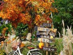 -HERRE·FARM 赫尔露营农场·团建聚会包场