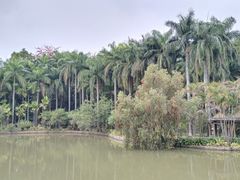 -滴水岩森林公园