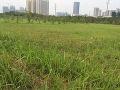 -砂之船奥特莱斯(合肥店)