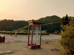 -南沙蒲洲花园