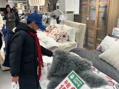 -宜家家居(高新商场店)