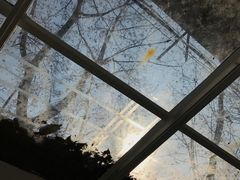 -Onirii Coffee(长乐路店)