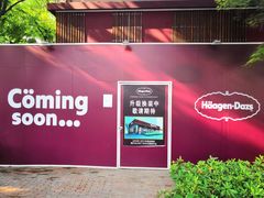 门面-哈根达斯(武汉天地店)