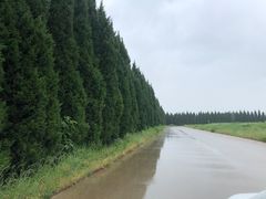 -汉景帝阳陵博物院